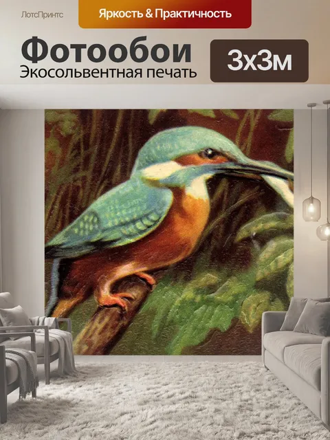 Фотообои Зимородок птица Alcedinidae