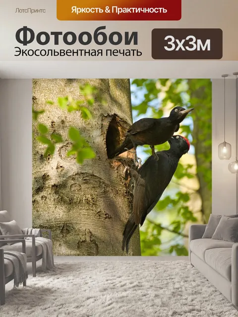 Фотообои Птицы
