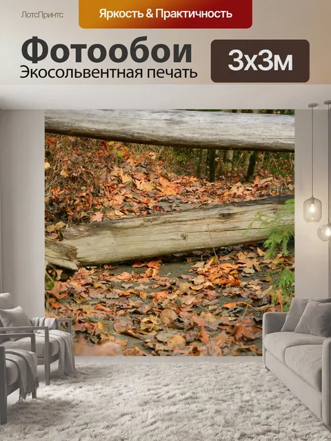 Фотообои Лес