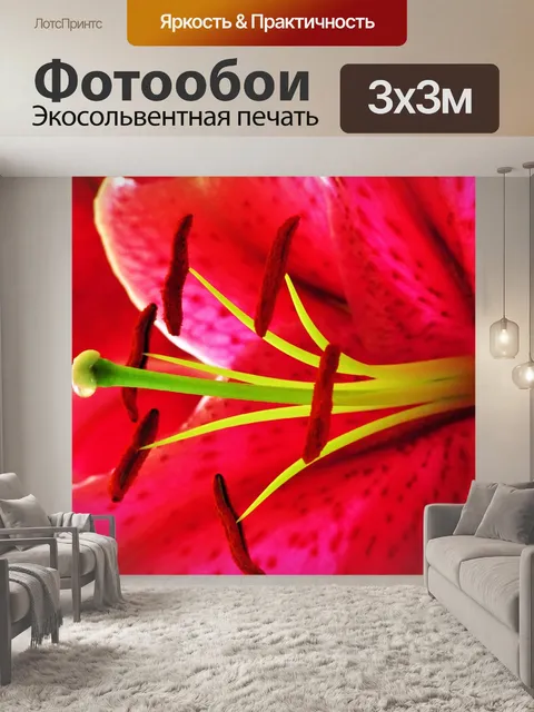 Фотообои Розовая лилия