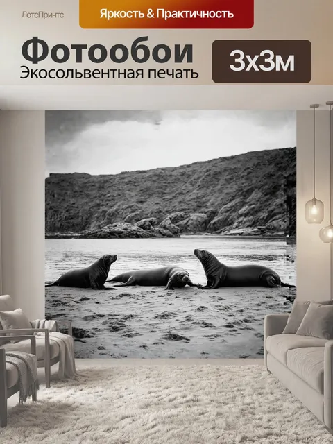 Фотообои на изолированной бухте