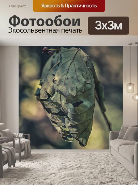 Фотообои Дуб