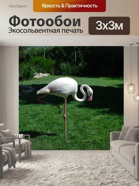 Фотообои Фламинго