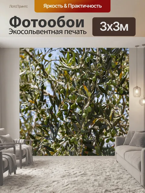 Фотообои Оливки