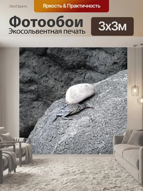Фотообои Краб