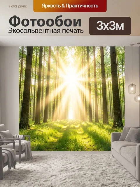 Фотообои Солнечный лесной путь