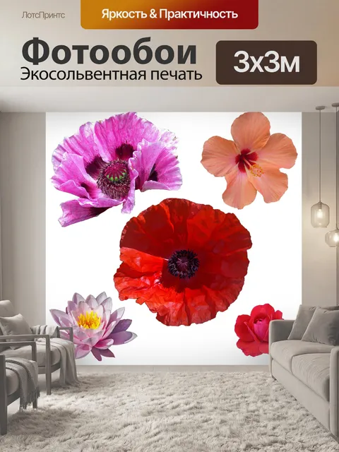 Фотообои Изолированные цветок Клипарт