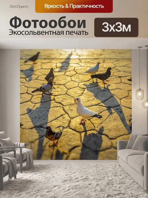 Фотообои Голуби