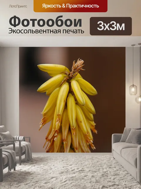 Фотообои Цветок алоэ вера