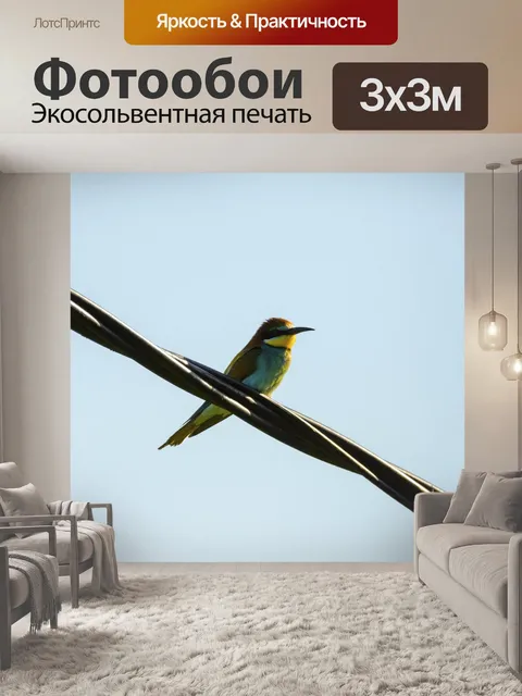 Фотообои Птица