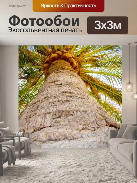 Фотообои Пальма с неба