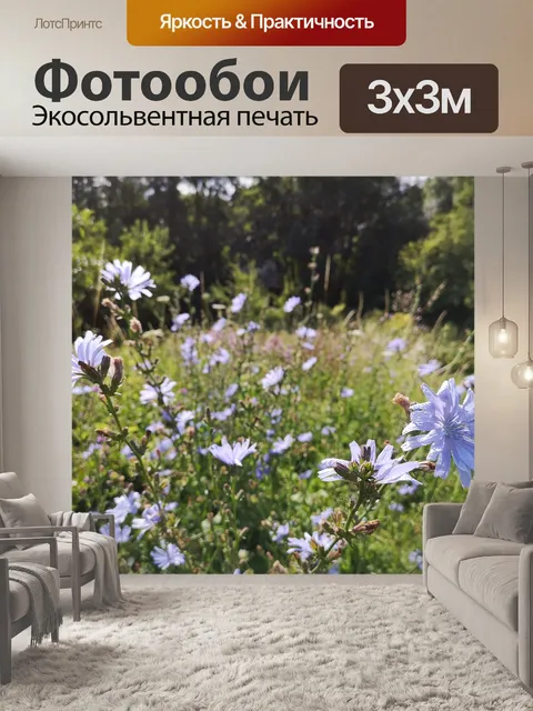 Фотообои Цветы