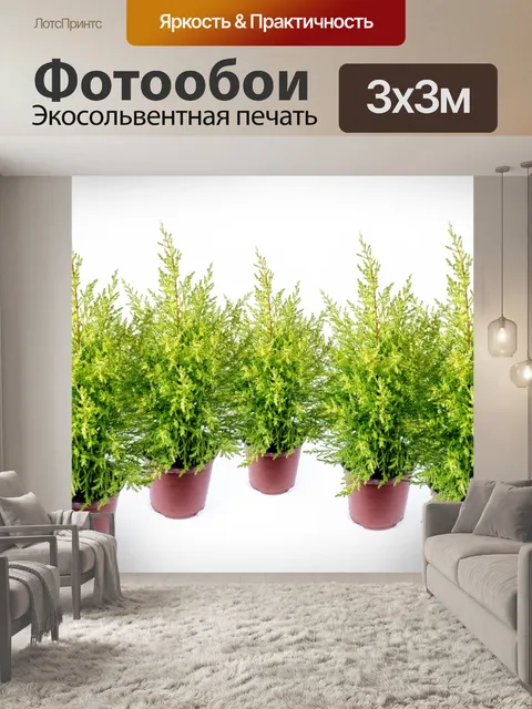 Фотообои Малые сосны