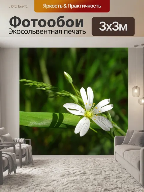 Фотообои Цветок
