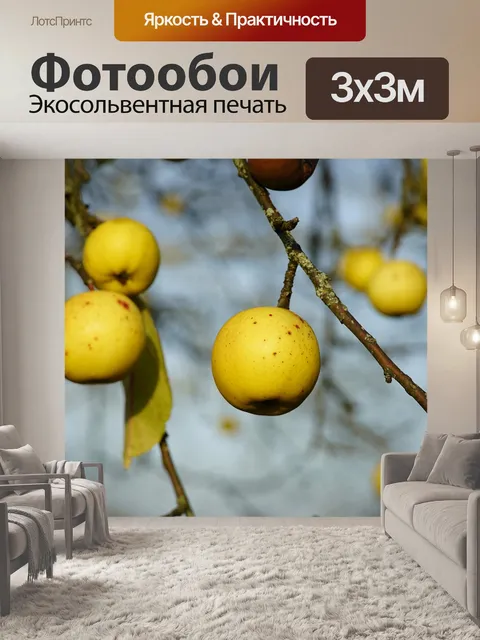 Фотообои Золотое яблоко