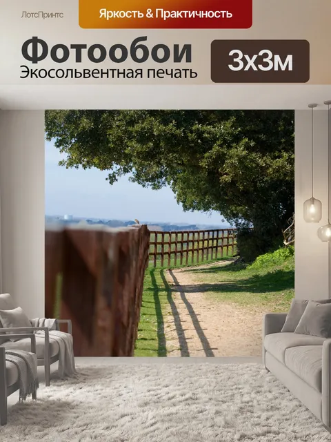 Фотообои Сельская местность Тропа