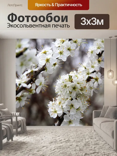 Фотообои Цветы