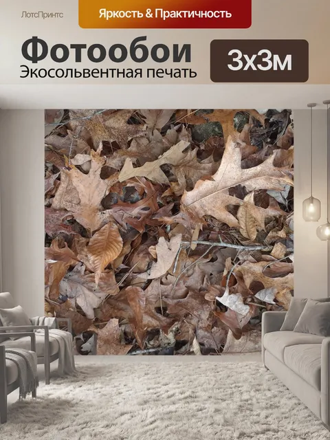 Фотообои Листья на лесном полу