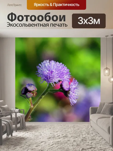 Фотообои Цветы