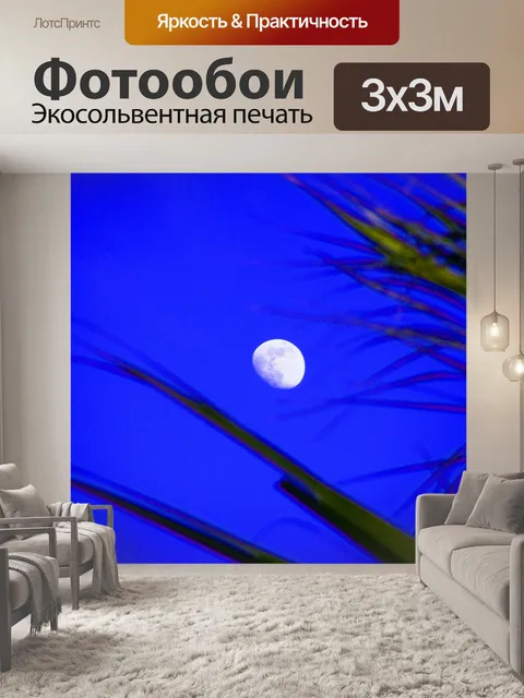 Фотообои Луна