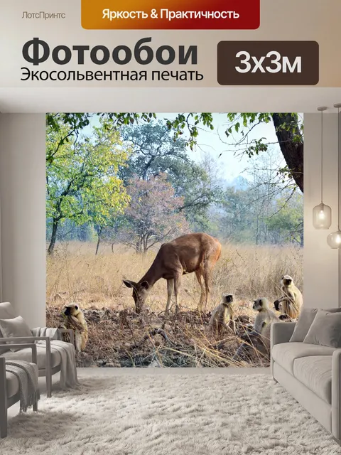 Фотообои Лесная партия
