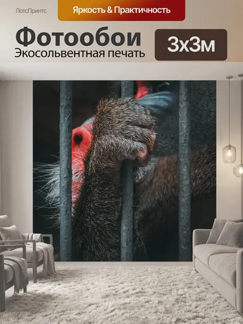 Фотообои Животное