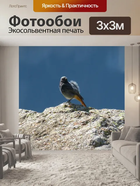 Фотообои Птица