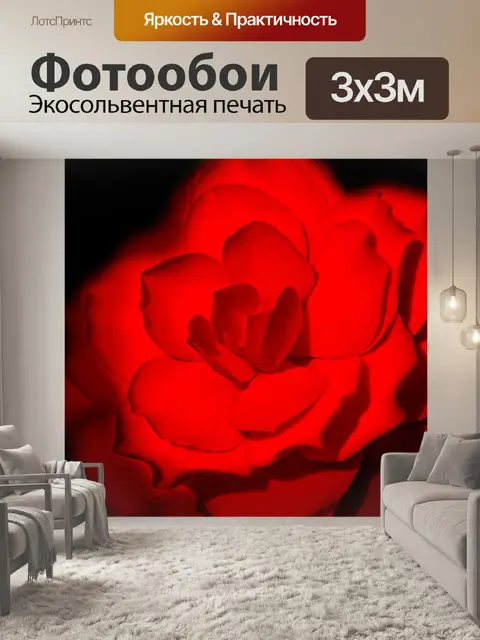 Фотообои Красный цветок