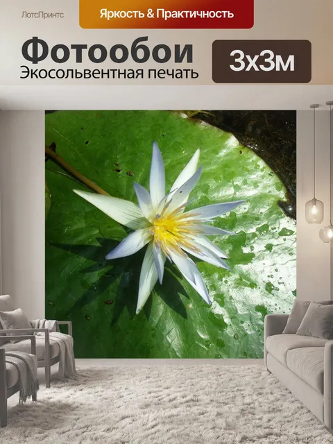 Фотообои Цветок