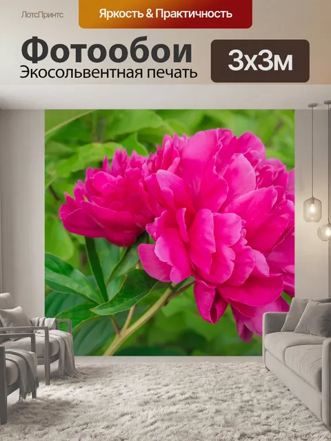 Фотообои Цветок