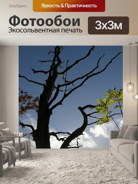 Фотообои Дерево