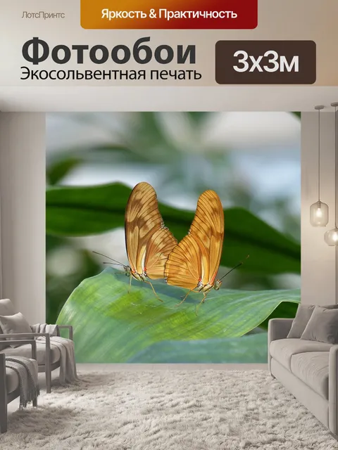 Фотообои Бабочки
