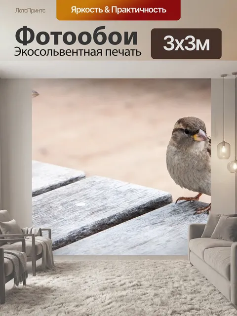 Фотообои Птицы