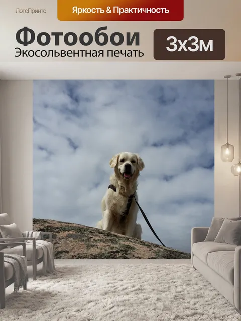 Фотообои Небо