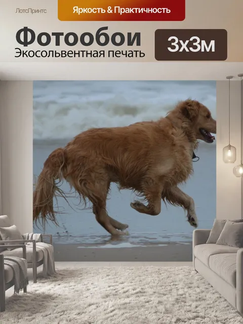 Фотообои Собака