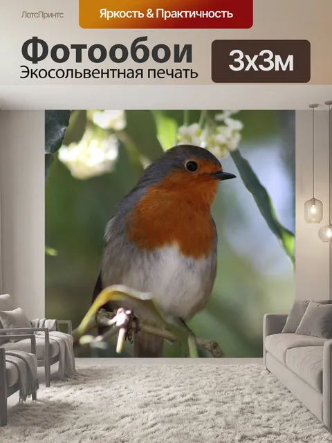 Фотообои Птицы