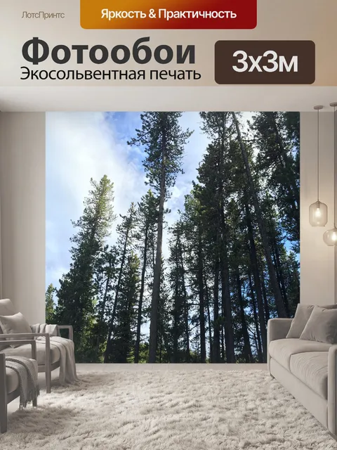 Фотообои Лес