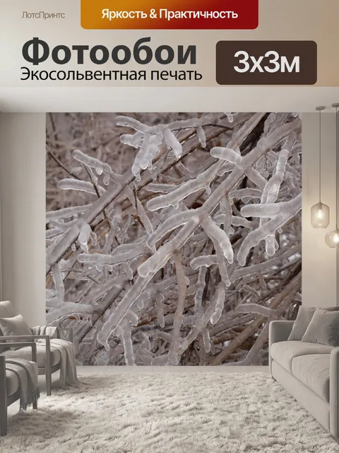 Фотообои ледяные ветви