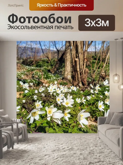 Фотообои Цветы