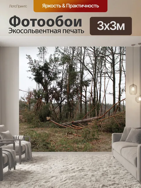 Фотообои Дерево