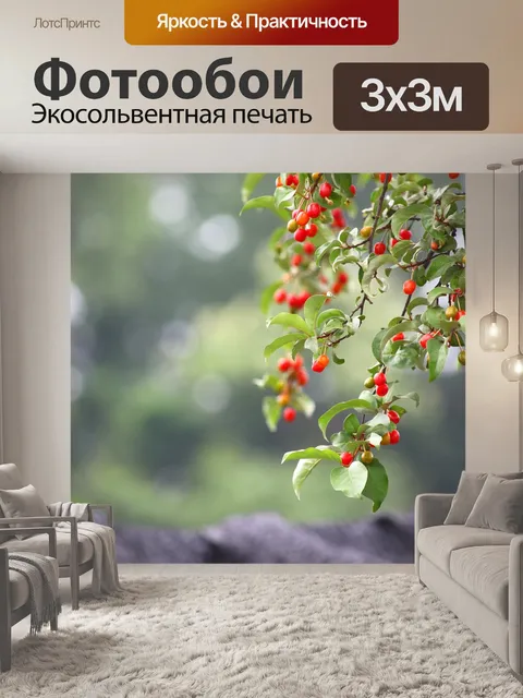 Фотообои Лист