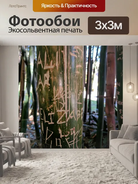 Фотообои Резные бамбуковые стрельбы