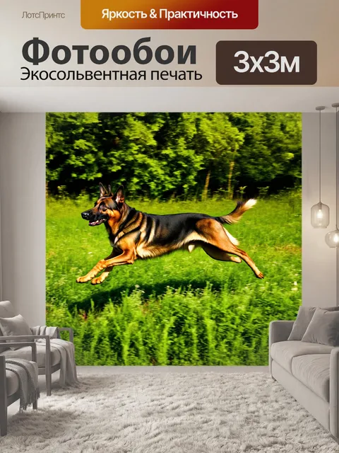 Фотообои немецкая овчарка, ловко прыгающая через высокую траву, с великолепным блеском в шерсти