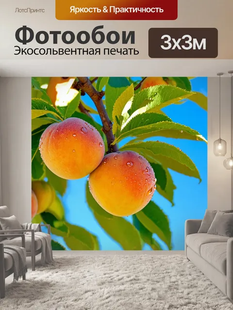 Фотообои абрикос на солнечном дереве