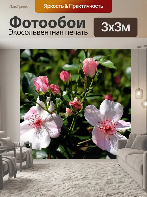Фотообои Розы