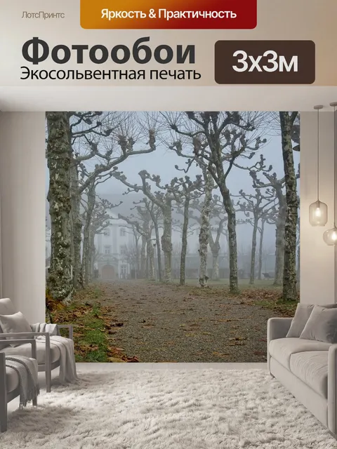 Фотообои Туман