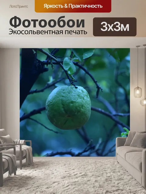 Фотообои Ананасовая гуава