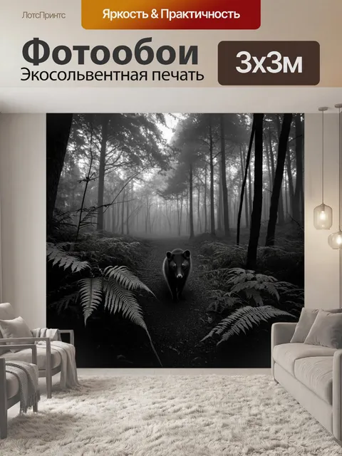 Фотообои туманный лес на рассвете