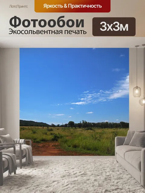 Фотообои пейзаж южноафриканских лугов