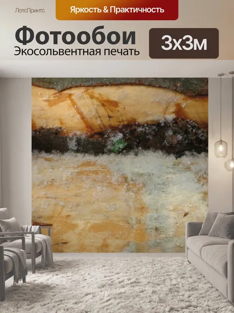 Фотообои Лес